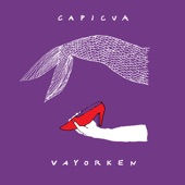 Vayorken (feat. Miguel da Cunha Rosa Ferreira & D-One) artwork