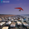 Pink Floyd - A Momentary Lapse of Reason (2019 Remix)  artwork