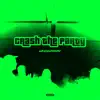 Crash the Party - Single album lyrics, reviews, download