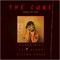 The Cure (feat. Dillon Chase & Eric Heron) - Corey Wise lyrics