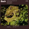 Stream & download Bach: O holder Tag, erwünschte Zeit, BWV 210 / Amore traditore, BWV 203