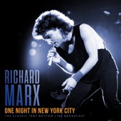 One Night In New York City (Live 1987) artwork