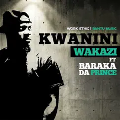 Kwanini (feat. Barakah The Prince) - Single by Wakazi album reviews, ratings, credits