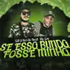 Se Essa Bunda Fosse Minha (feat. MC Gw) [Bregafunk Remix] - Single album lyrics, reviews, download