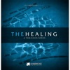 The Healing, 2004
