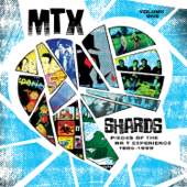 Mtx Shards, Vol. 1: The Vinyl Edition - The Mr. T Experience