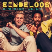 Eindeloos (feat. James Watss) artwork