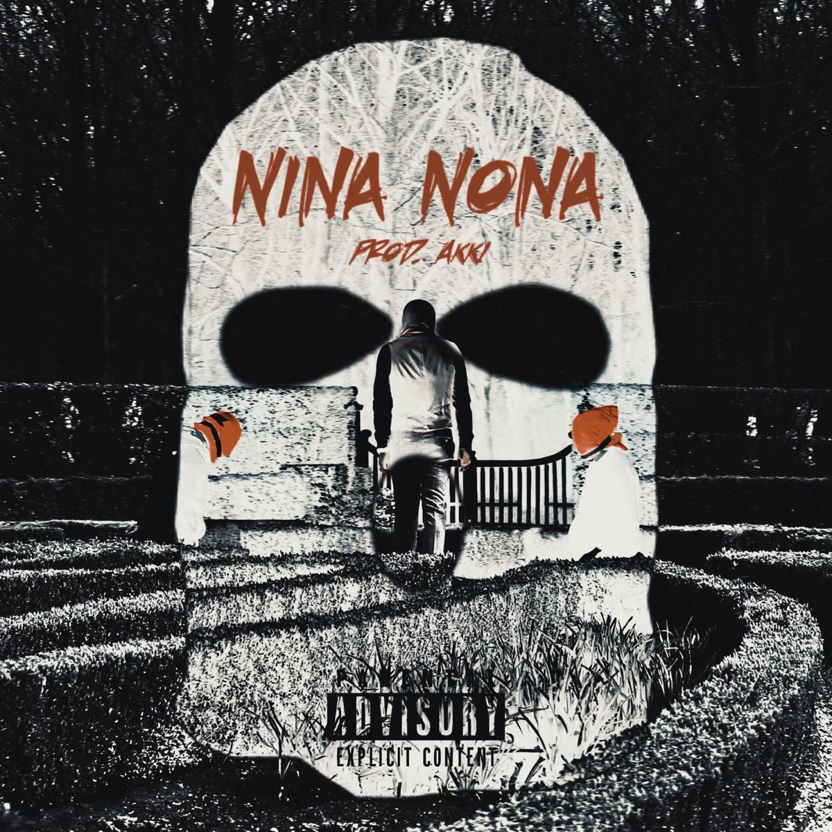 ‎Nina Nona - Single by Bivak on Apple Music