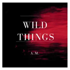 Wild Things Song Lyrics