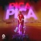 Pica Pica artwork