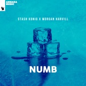 Numb (Extended Mix) artwork
