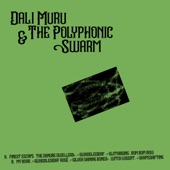 Dali Muru & The Polyphonic Swarm - The Danube Dwellers