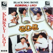 Black Dog Bone - Kau Terlupa Diri