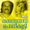 Chellam Chellam (From "Kanathaya Penkutty") - Single album lyrics, reviews, download