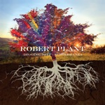 Robert Plant - Falling In Love Again