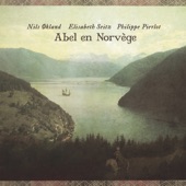 Abel en Norvège ou le voyage imaginaire d'un violiste du XVIIIe siècle dans le Hardanger artwork