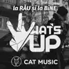la RAU si la BINE - Single album lyrics, reviews, download