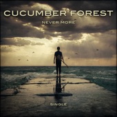 Never More (feat. Dee Wolf) artwork