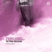 To Find Reason (Lonya Remix) artwork