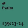 Psalm 139:23-24 (feat. Page CXVI) - Single