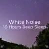 White Noise song lyrics