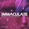 Immaculate (feat. Nature of Wires) - Sea of Sin lyrics