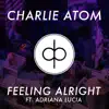 Feeling Alright (feat. Adriana Lucia) - Single album lyrics, reviews, download