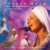 Live in Concert (feat. Ram Dass, Manish Vyas & GuruGanesha Singh) artwork