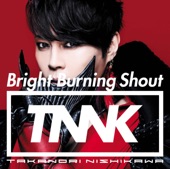 Bright Burning Shout - EP artwork