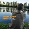 Temporary Mess - Single album lyrics, reviews, download