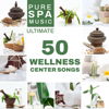 Pure Spa Music - Ultimate 50 Wellness Center Songs, Relaxation, Meditation, Massage and Sleep Therapy - Various Artists
