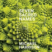 Michael Harrison/Tim Fain - Seven Sacred Names: Mureed