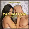 Stream & download Tão Gostoso - Single