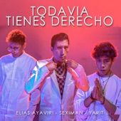 Todavía Tienes Derecho artwork