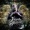 Franky Kubrick - Im Herz feat. Xavier Naidoo