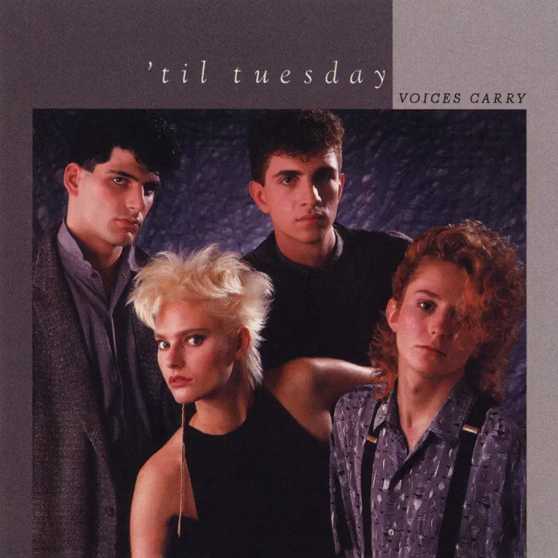 'Til Tuesday - Voices Carry (Expanded Edition) (1985) [iTunes Plus AAC M4A]-新房子