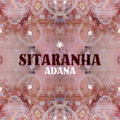 Adana (Dense Remix) artwork