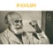 Pavlov - Joe Jeff lyrics