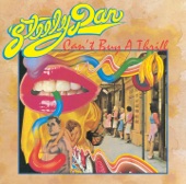 Steely Dan - Fire In The Hole