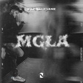 Mgła (feat. clearmind & Bervi Beats) artwork