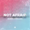 Not Afraid - Single album lyrics, reviews, download