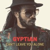 Can’t Leave You Alone - Single