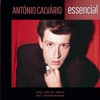 António Calvário - Essencial