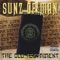 Intellectuals - Sunz of Man lyrics