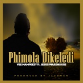 Phimola Dikeledi (feat. Jesus Warehouse) artwork