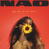 Nao - And Then Life Was Beautiful  artwork