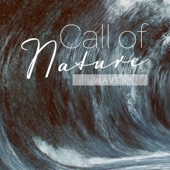 Mark Wayne - Call of Nature_Waves, Pt. 4