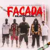 Facada Eleitoral - Single album lyrics, reviews, download