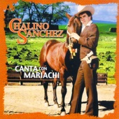 Chalino Sanchez - Quisiera Ser Pajarillo (Mariachi)