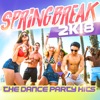 Springbreak 2k18: The Dance Party Hits